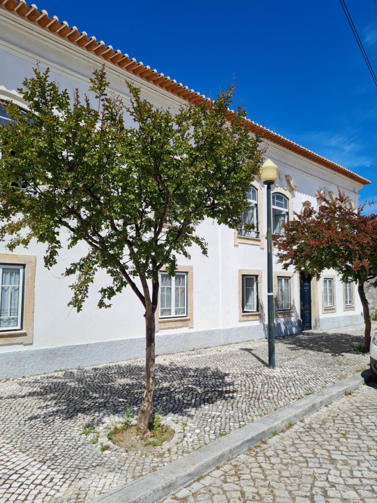 Casa de António Fragoso - Pocariça (Portugal)